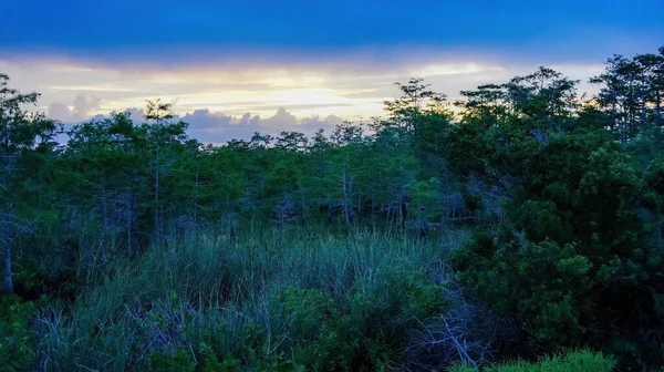 フロリダ州ポンパノのLoxahatchee Evergladesの湿地に日の出 — ストック写真