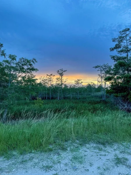 Východ Slunce Nad Bažinou Loxahatchee Everglades Pompano Florida — Stock fotografie