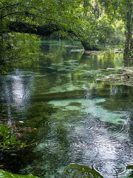 雨嵐の間のフロリダ州の淡水泉のターコイズブルーの水 — ストック写真