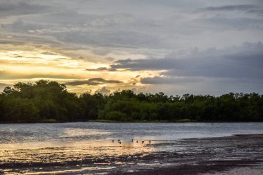 Marco Adası, Florida 'nın güneybatısındaki güzel gökyüzü