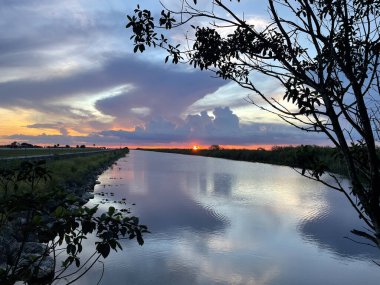 Louisiana 'da kasırga sırasında bataklıkta yağmur bulutları