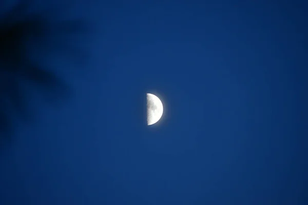 Lua Pântano Noite — Fotografia de Stock