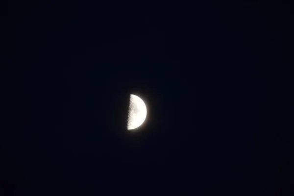 Lua Pântano Noite — Fotografia de Stock