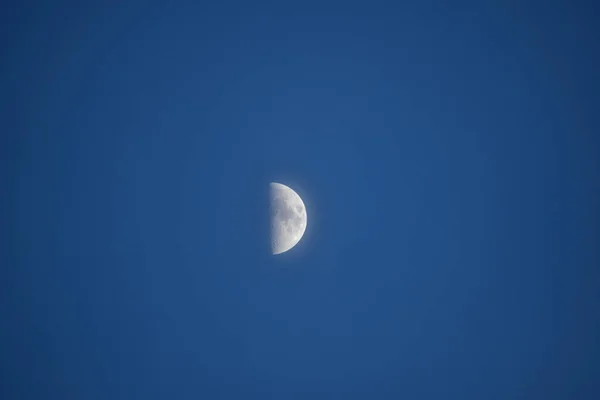Φεγγάρι Στο Βάλτο Νύχτα — Φωτογραφία Αρχείου