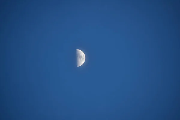 Lua Pântano Noite — Fotografia de Stock