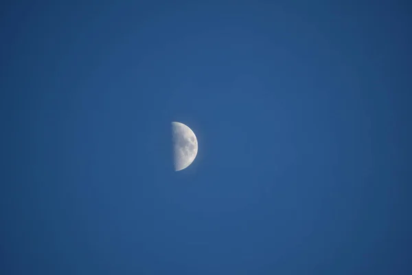 Mond Der Nacht Sumpf — Stockfoto