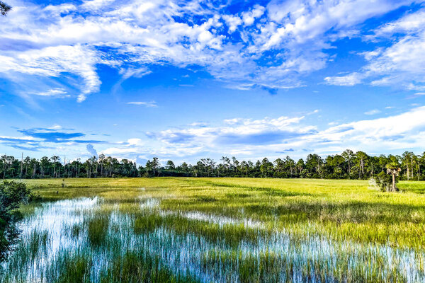 Louisiana marsh pond and grasses flooded