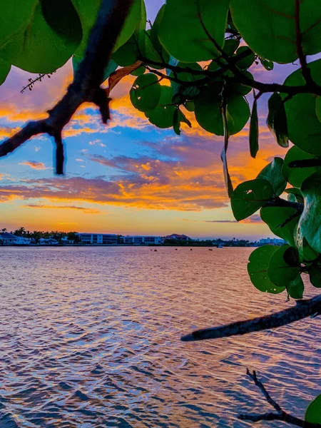 Sonnenuntergang Über Den Mangroven Und Meertrauben Auf Jupiter Island Florida — Stockfoto