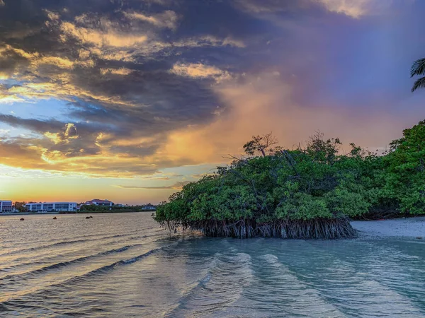 Por Sol Sobre Manguezais Uvas Mar Ilha Júpiter Flórida — Fotografia de Stock