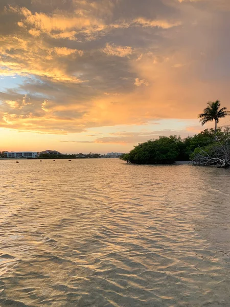 フロリダ州のジュピター島のマングローブと海のブドウの上の日没 — ストック写真