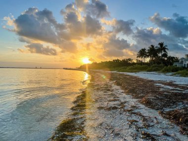 Büyük turuncu güneş plaj manzarasının arkasında batıyor.