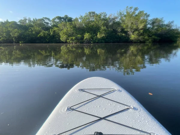 Manguezais Céu Azul Ding Darling National Wildlife Refuge — Fotografia de Stock