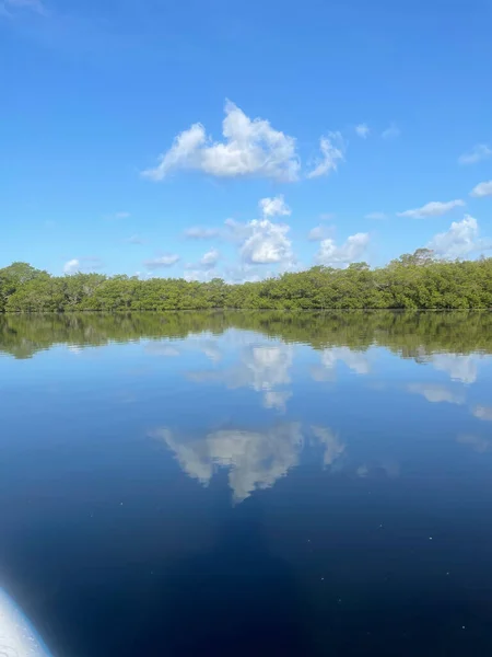 Jn丁达林国家野生动物保护区的红树林和蓝天 — 图库照片