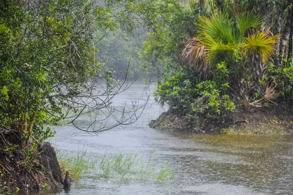 湿地帯を流れる川には新鮮な雨が降る ストック画像