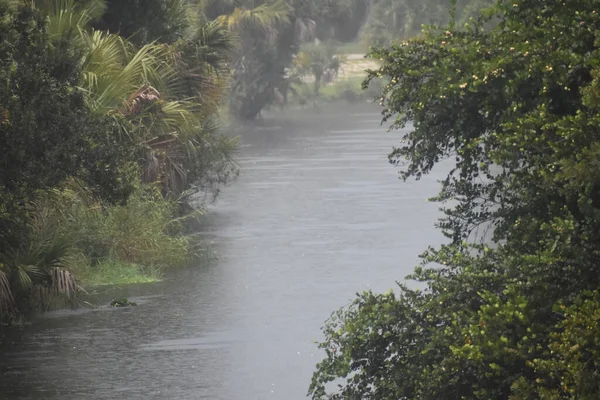 Chuva Fresca Salpicando Rio Nas Zonas Húmidas — Fotografia de Stock