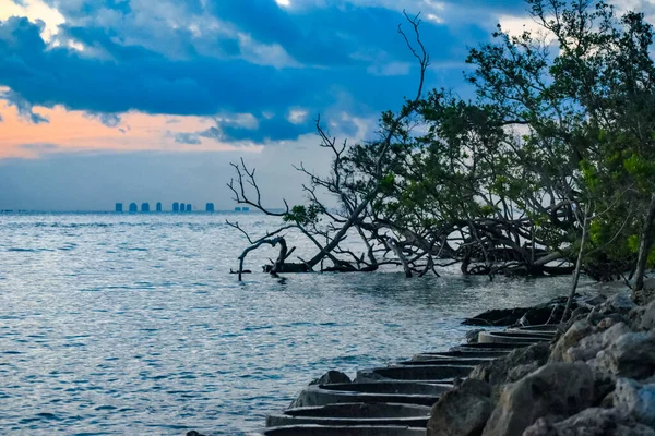 Vista Condominios Otro Lado Bahía Desde Isla Sanibel Amanecer —  Fotos de Stock