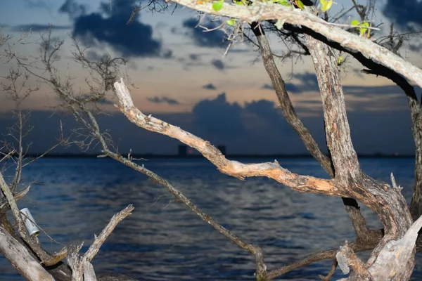 Widok Mieszkania Drugiej Stronie Zatoki Wyspy Sanibel Wschodzie Słońca — Zdjęcie stockowe