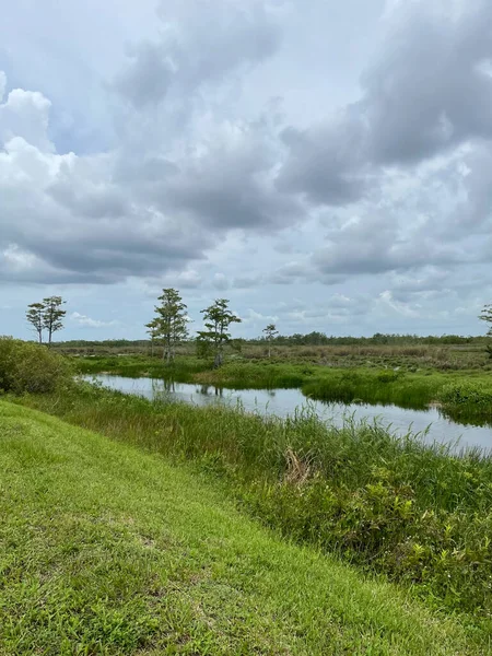 grey sky and open marsh outdoors