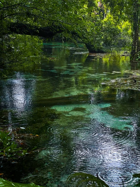 雨嵐の間のフロリダ州の淡水泉のターコイズブルーの水 — ストック写真
