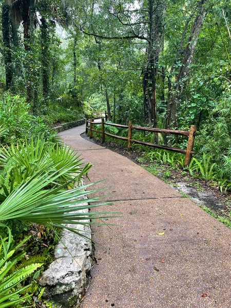 Sendero Húmedo Través Del Bosque Parque Florida —  Fotos de Stock