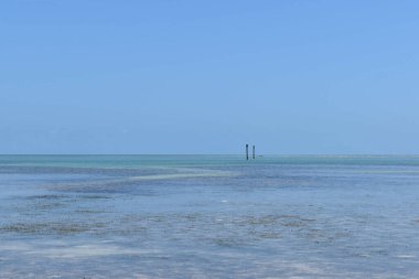 Güzel Florida Keys manzarası