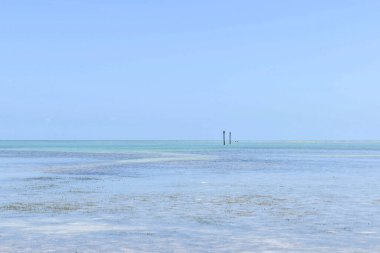 Güzel Florida Keys manzarası