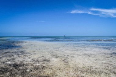 Güzel Florida Keys manzarası
