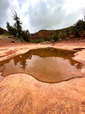 Yağmur suyu havuzu, bulutlu gökyüzünün altındaki bir çöl kanyonunda, yumuşak kırmızı kumtaşı üzerindeki ağaçları yansıtır..