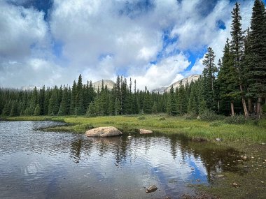 Sakin alp gölü, her zaman yeşil ormanı ve engebeli dağları yansıtıyor dramatik bulutlu gökyüzü altında, kayalık kıyı şeridi ve çimenli ön planı ile; sakin vahşi doğa manzarası.