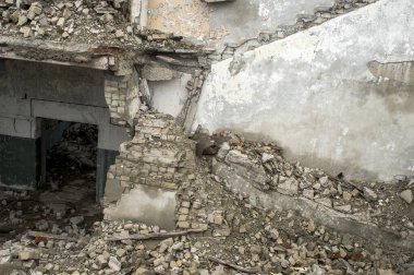 Tuğla bloğu, beton parçaları ve yıkılan binanın diğer inşaat enkazı..