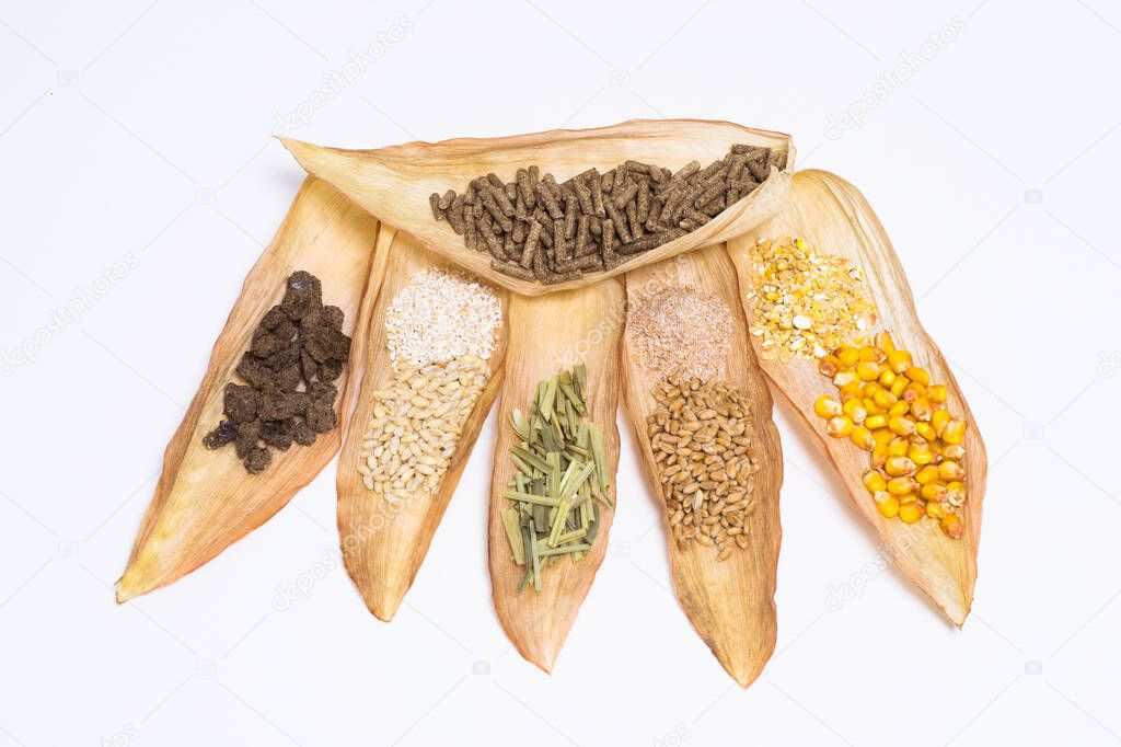 Granulated dry food with vegetable grain components and their crushed fraction on dry corn leaves on a white background. The concept of a composition of pellets for feeding farm animals and fish.