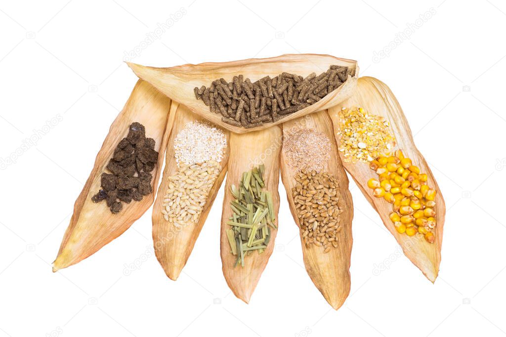 Granulated dry food with grain components and their crushed fraction on dry corn leaves isolated on a white background. The concept of a composition of pellets for feeding farm animals and fish.