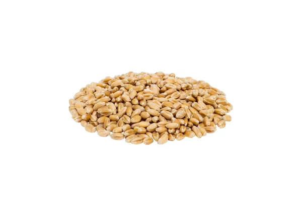 Eine Handvoll Weizenkörner auf einem isolierten weißen Hintergrund — Stockfoto