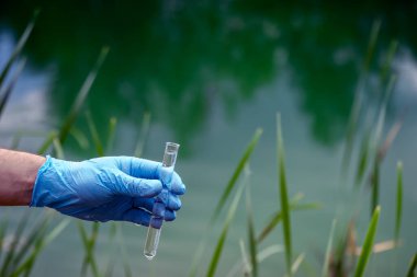 Su örneği. Mavi eldivenli bir adam göl suyunun arka planında turkuaz rengi ve kıyı bitkisi olan bir test tüpü tutuyor. Arkaplan.