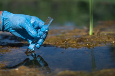 Bir işçinin eldivenli eli, doğal bir manzaranın arka planında üzerinde su örneği olan bir test tüpü tutar. Endüstriyel atık su depolarındaki kirleticilerin içeriği
