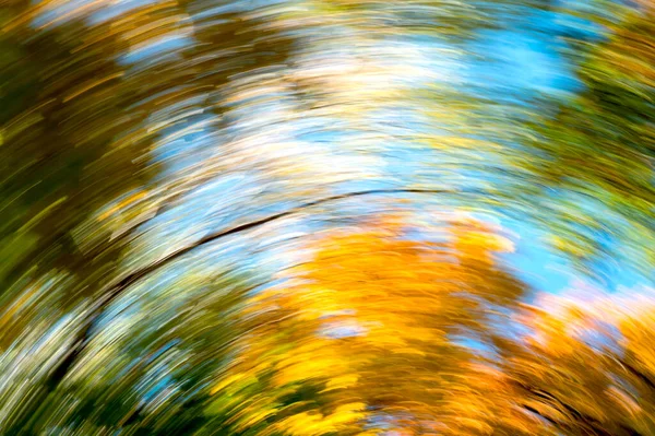 Fondo Abstracto Borroso Las Hojas Otoño Los Árboles Movimiento Concepto — Foto de Stock