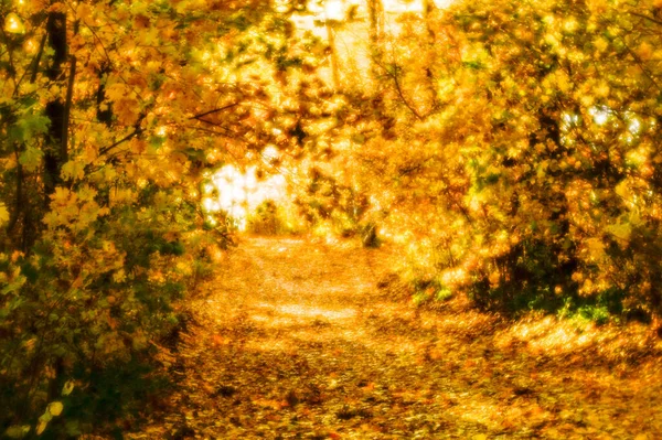 Verschwommen Eine Straße Aus Fallenden Bunten Blättern Einem Herbstlichen Park — Stockfoto