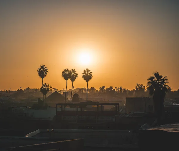 Sonnenaufgang über dem Palmenhain in Marrakesch, Marokko. Palmeraie - Silhouette von Palmen mit Sonne im Hintergrund. Sommerreise-Konzept Foto in Afrika. — Stockfoto