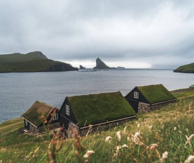 Baharda Dranganir ve Tindholmur manzaralı Bour köyünün Faroe kıyısındaki Bour köyünde otlarla kaplı resimli evler..