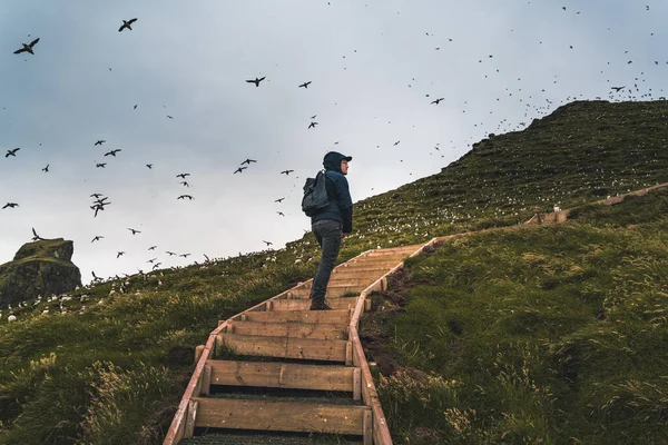 Panorámás kilátás gyönyörű táj Mykines, a középpontban a puffins család, Feröer-szigetek — Stock Fotó