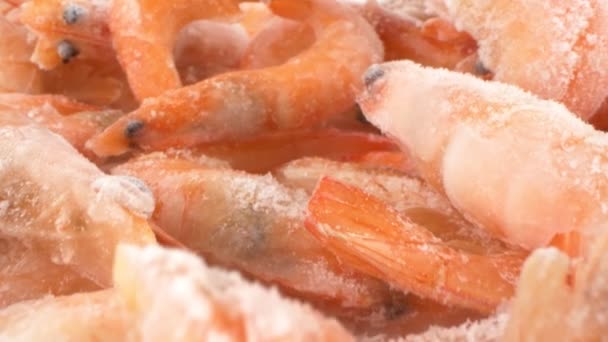 Super detailní, detailní. zmrazené vařené tygří krevety izolované na bílém pozadí — Stock video