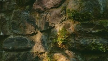 Yaprakların gölgesi güneş ışığında eski bir taş duvarda. doğal arkaplan