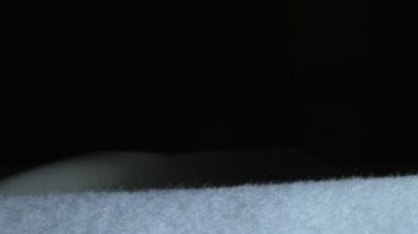 Aşırı yakın plan, detaylı. Elektrikli dikiş makinesinin demir iğnesi