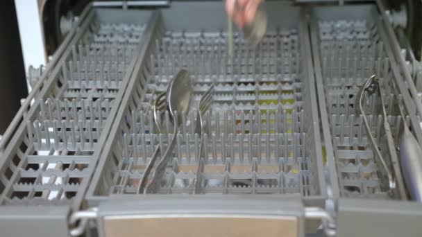 Primo piano delle mani. donna mette i piatti in lavastoviglie — Video Stock