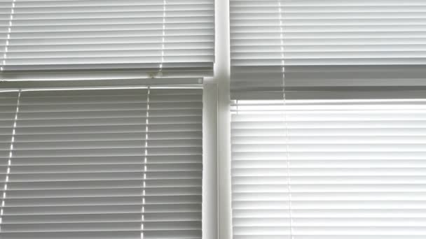 Background texture. closed white aluminum blinds on windows — Stock Footage Background texture. closed white aluminum blinds on windows Stock Video