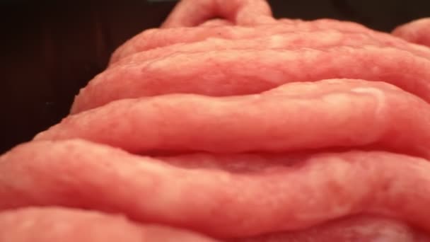 Très gros plan, détaillé. fond alimentaire. viande hachée crue — Video
