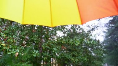 Yakın plan. çok renkli gökkuşağı şemsiyesi yeşil ağaçlı bir parkta yağmurun arka planında