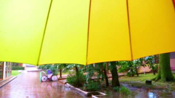 Primer plano. paraguas de arco iris multicolor sobre un fondo de lluvia en un parque con árboles verdes — Vídeos de Stock