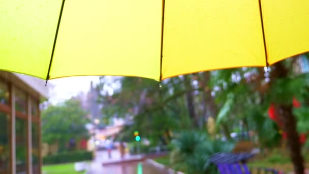 Nahaufnahme. Bunte Regenbogenschirme vor dem Hintergrund von Regen in einem Park mit grünen Bäumen — Stockvideo