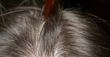 Son derece yakın plan, detaylı. Bir tarakla saçlarını ayır.